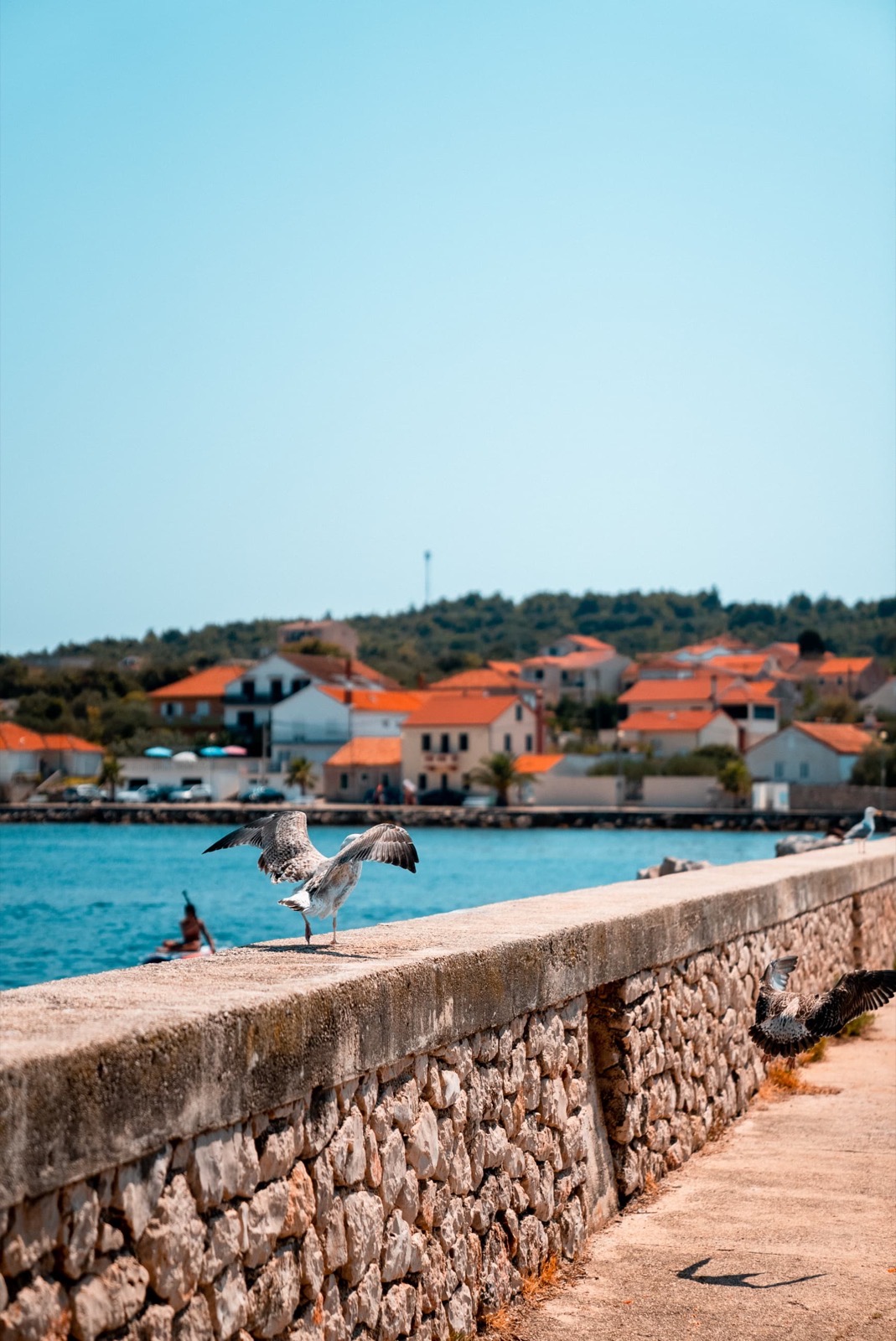 Investing with travel benefits